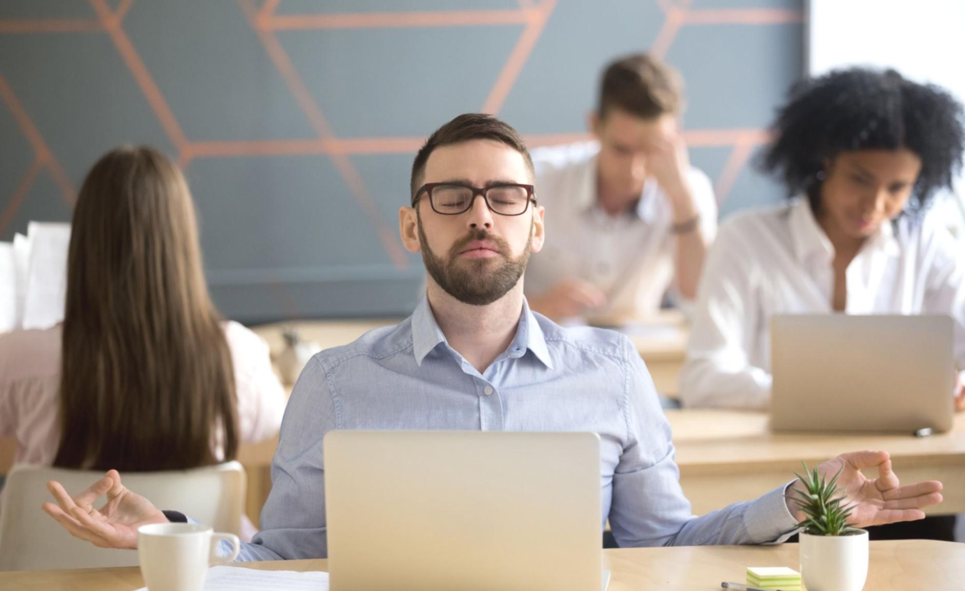 Рабочая атмосфера команды Yvanthes в офисе Кардла